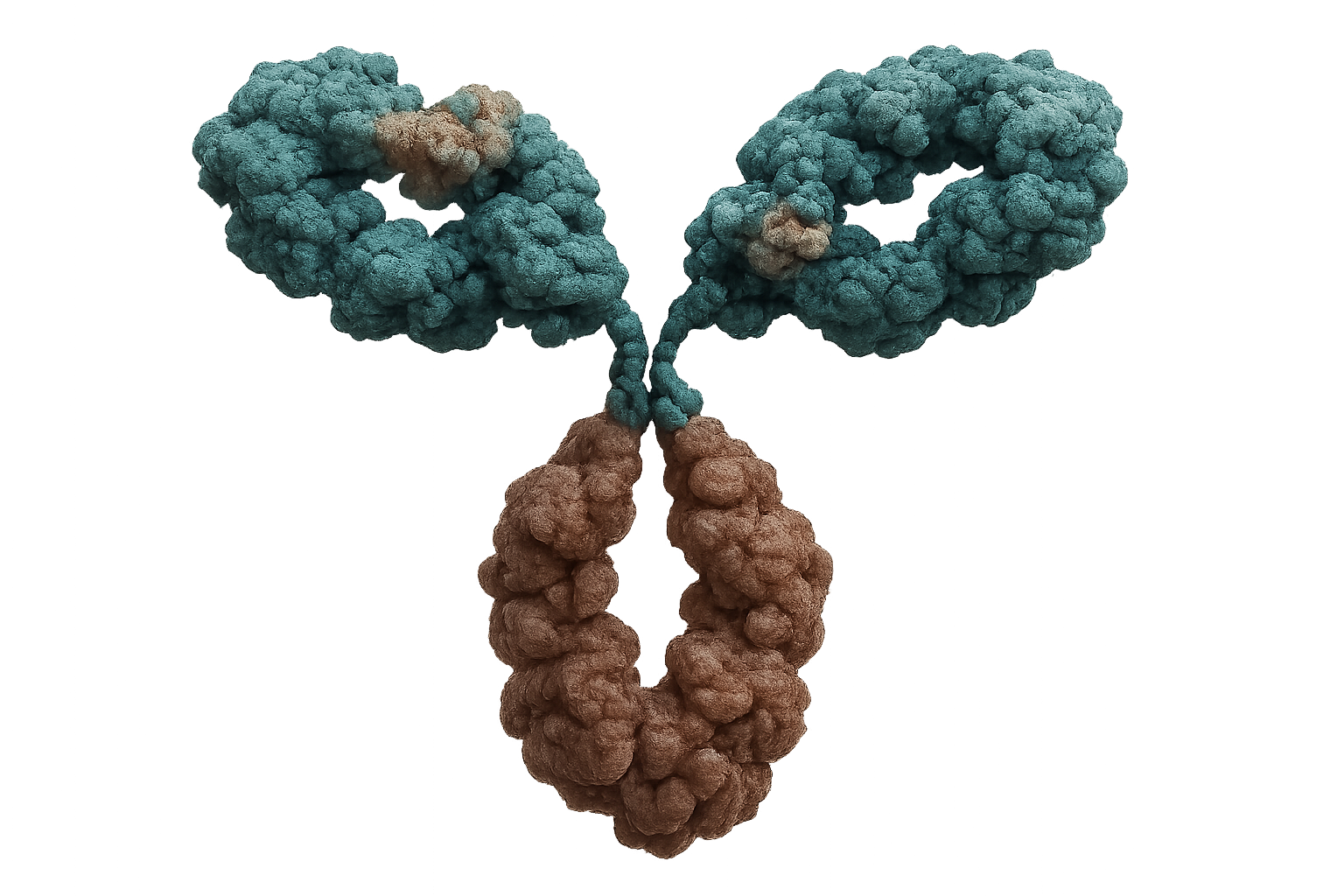 Antibodies