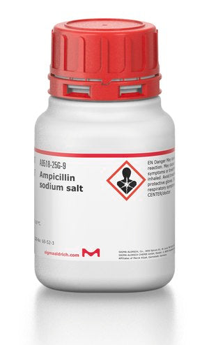 Ampicillin, Sodium Salt 25g