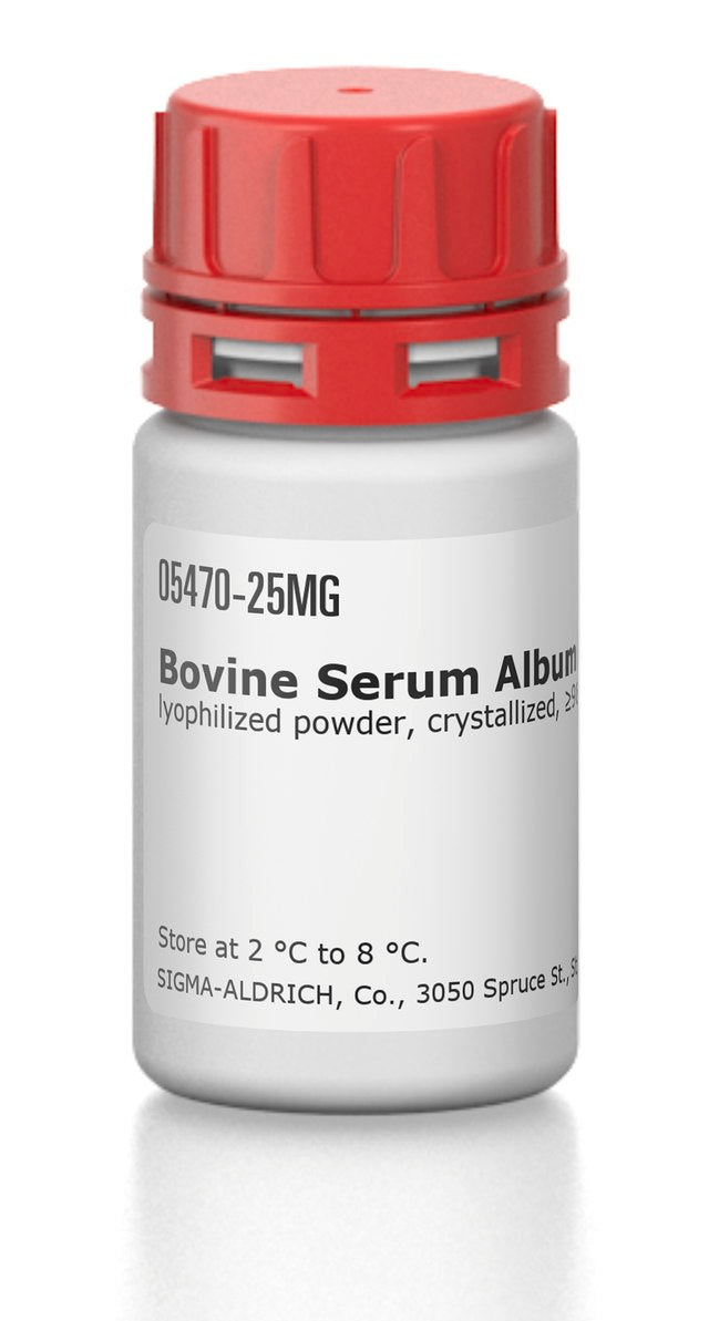 Bovine Serum Albumin