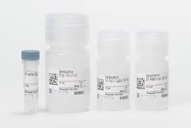 Canine free thyroxine (FT4)ELISA kit