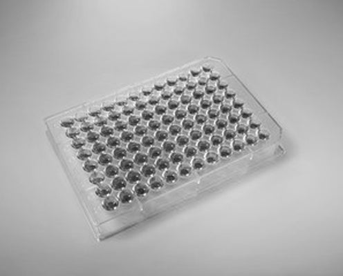 Canine interleukin 10(IL-10)ELISA kit