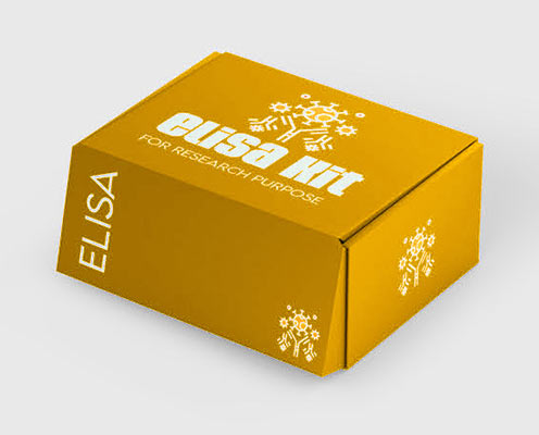 Guinea pig cholecystokinin (CCK) ELISA kit