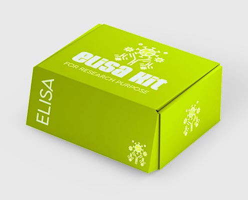 Guinea pig complement 5a (C5a) ELISA kit