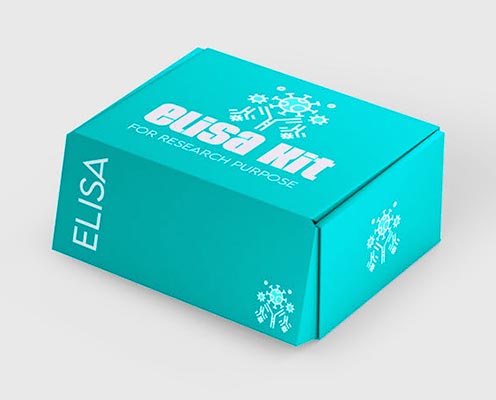 Guinea pig diamine oxidase (DAO) ELISA kit
