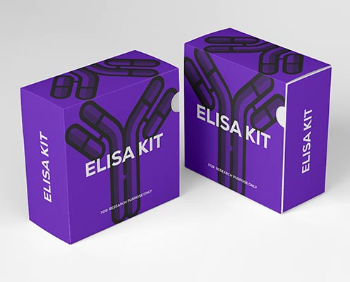 Guinea pig fibrinolytic anti-fibrinolytic complex (PAP) ELISA kit