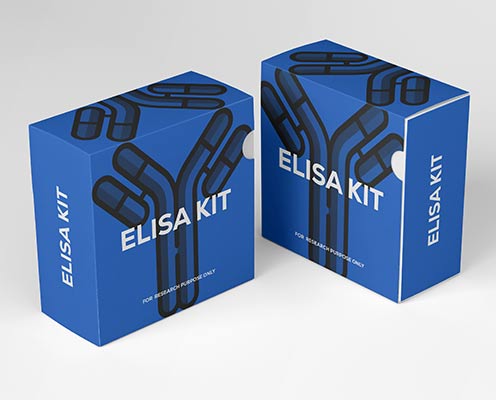 Guinea pig growth hormone (GH) ELISA kit