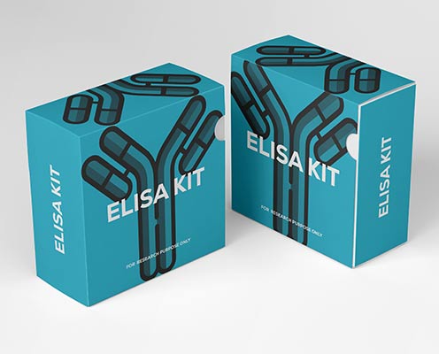 Guinea pig interleukin-1 (IL-1) ELISA kit