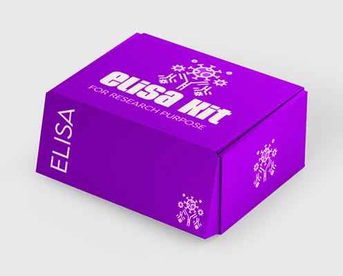 Guinea pig interleukin-1 receptor antagonist (IL1Ra) ELISA kit