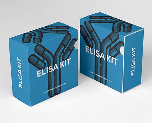 Guinea pig interleukin18 (IL-18) ELISA kit