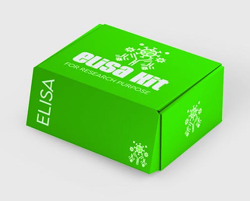 Guinea pig interleukin6 (IL-6) ELISA kit