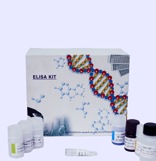 Guinea pig lysozyme (LZM) ELISA kit