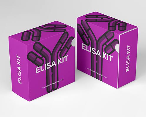 Guinea pig protein Kinase A (PKA) ELISA kit