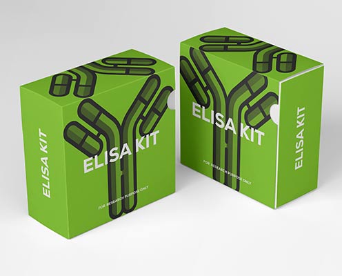 Guinea pig transforming growth factor (TGF-beta) ELISA Kit