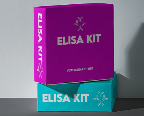Human granulocyte macrophage colony stimulating factor (GM-CSF) ELISA kit