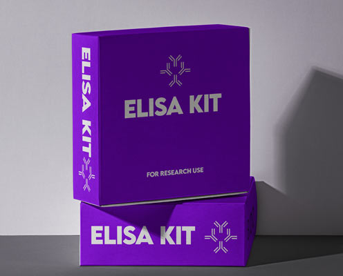 Human P Selectin/CD62P ELISA kit