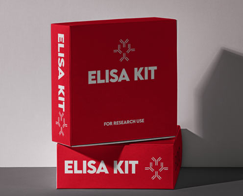Human transforming growth factor beta-1 (TGF-beta1) ELISA kit