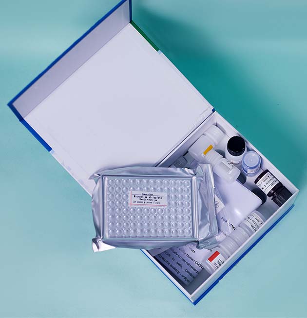 Human tumor necrosis factor alpha ELISA kit