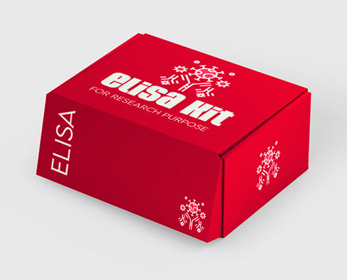 Human vascular endothelial cell growth factor D (VEGF-D) ELISA kit