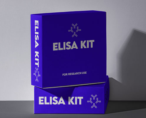 Human vascular endothelial growth factor C (VEGF-C) ELISA kit