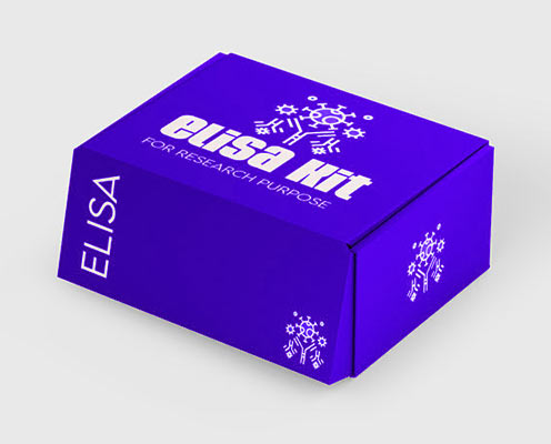 Human vascular endothelial Growth Factor Receptor 1 (VEGFR-1) ELISA kit