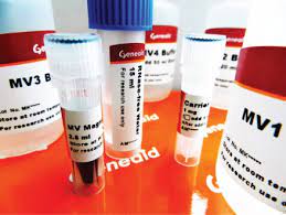 Human vascular endothelial growth factor (VEGF) ELISA kit