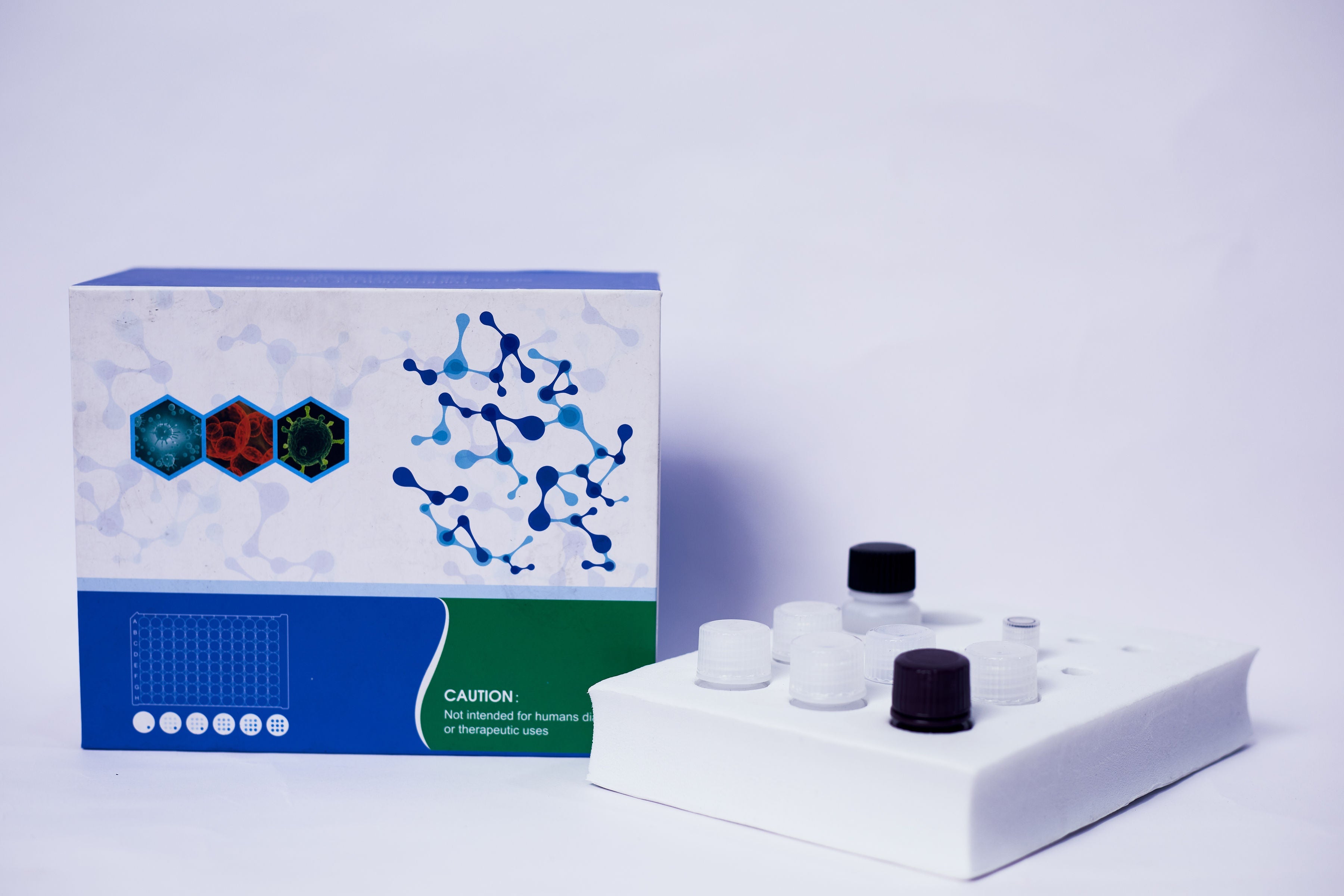 Human Vitamin C Elisa Kits