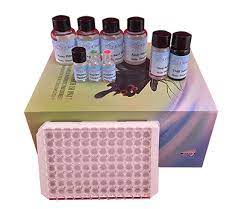 Human Vitamin C ELISA Test kit