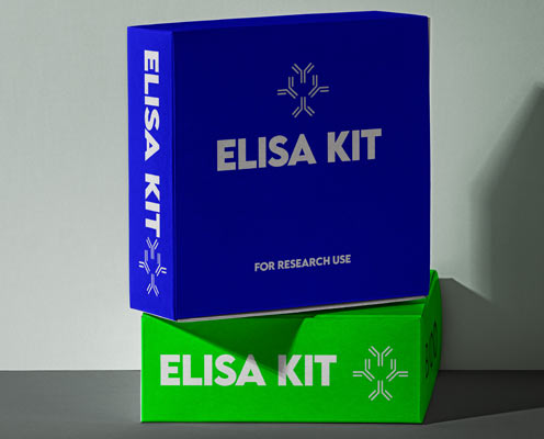 Human Vitamin D ELISA Test kit