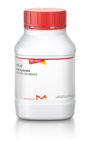 MES Hydrate 100g