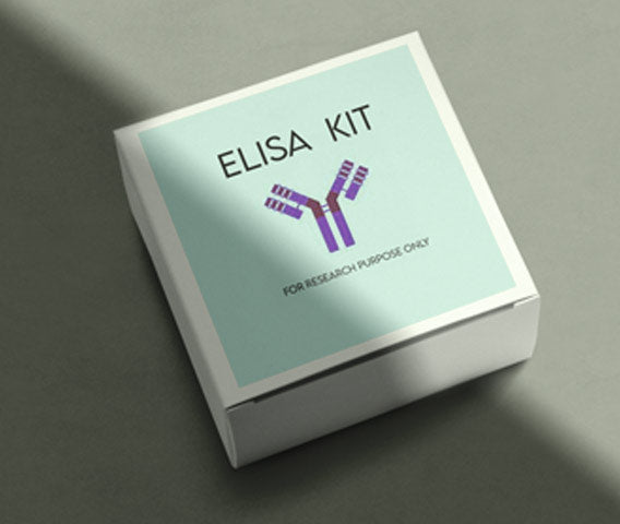 Mouse acid fibroblast growth factor 1 (AGFG-1) ELISA kit