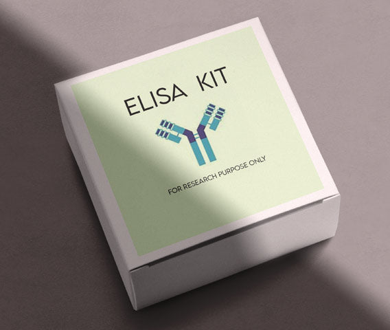 Mouse angiogenin 2(Ang-2) ELISA kit