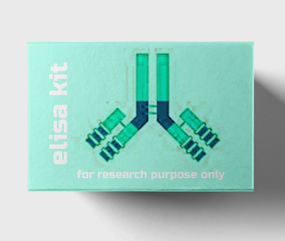 Mouse basic fibroblast growth factor 9(BFGF-9) ELISA kit