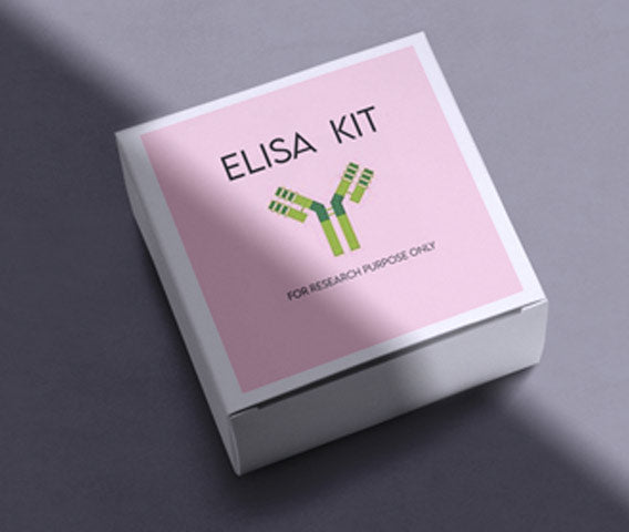 Mouse interferon-beta ELISA kit