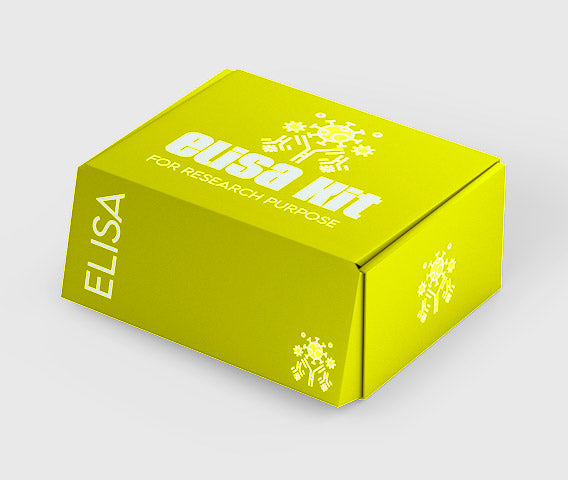 Mouse soluble intercellular adhesion Molecule 1 (sICAM-1) ELISA kit
