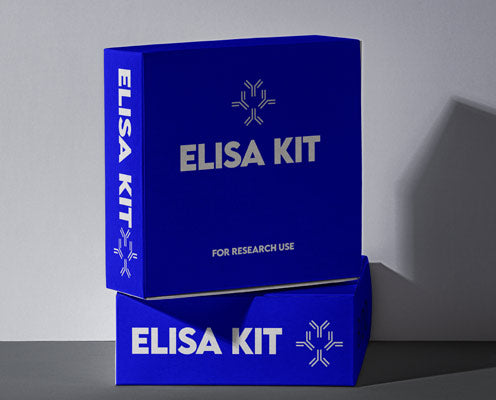 Mouse soluble tumor necrosis factor receptor II (TNFsR-II) ELISA kit