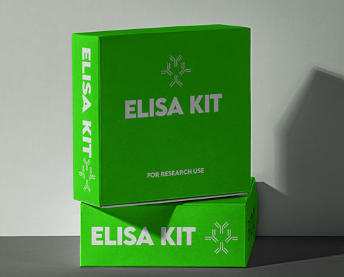 Mouse tumor necrosis factor beta (TNF-beta) ELISA kit