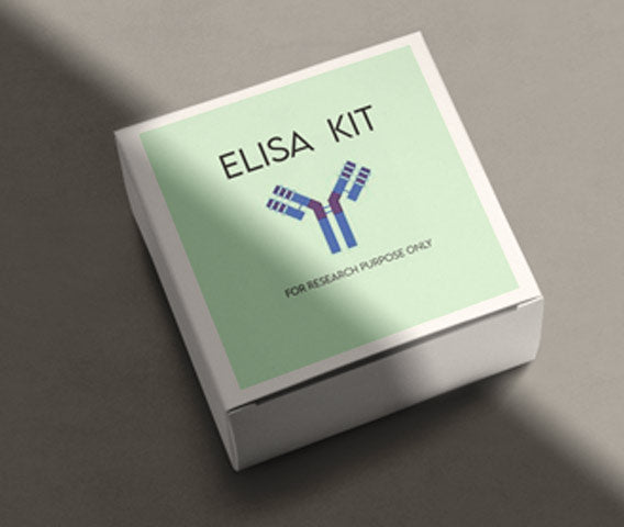 Mouse urokinase-type plasminogen activator (uPA) ELISA kit