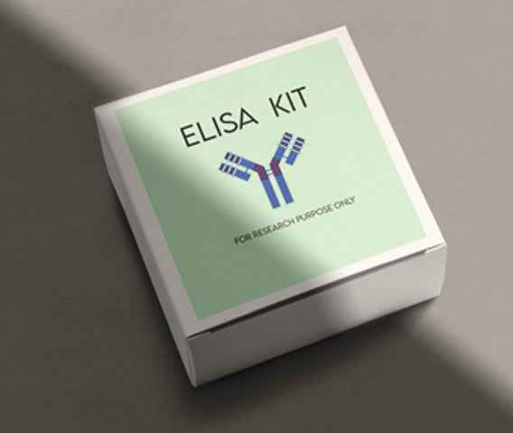 Mouse urokinase-type plasminogen activator (uPA) ELISA kit