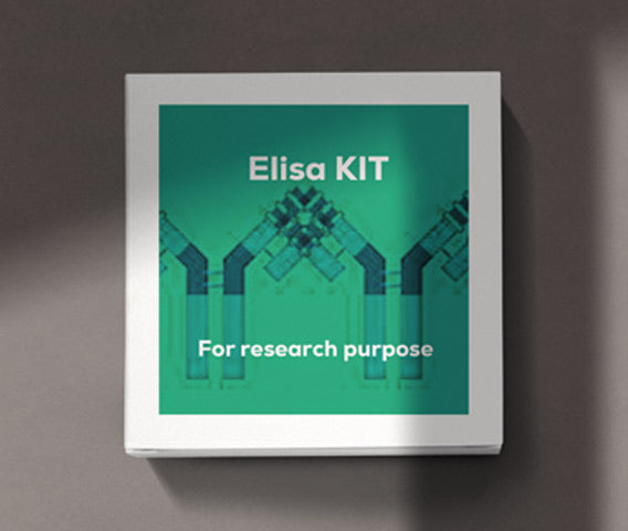 Mouse vascular endothelial cell growth factor B(VEGF-B) ELISA kit