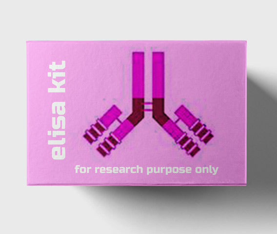 Mouse vascular endothelial cell growth factor C(VEGF-C) ELISA kit