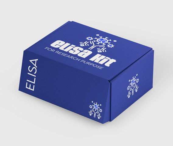 Mouse vascular endothelial cell growth factor D (VEGF-D) ELISA kit