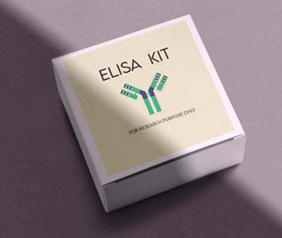 Mouse vascular endothelial growth factor receptor 2 (VEGFR-2) ELISA kit