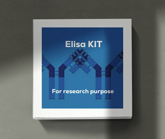 mouse vascular endothelial growth factor receptor 3 (VEGFR-3) ELISA kit