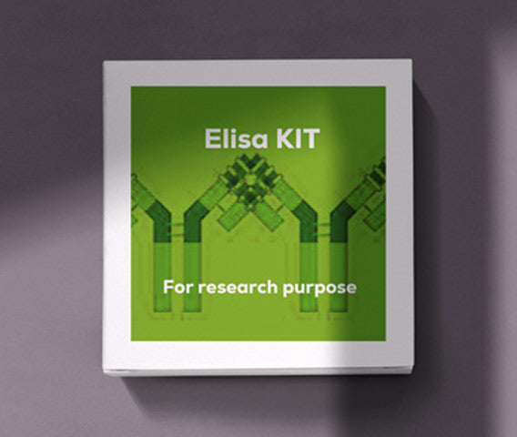 Mouse vasculas endohelial growth factor receptor 1 (VEGFR-1) ELISA kit