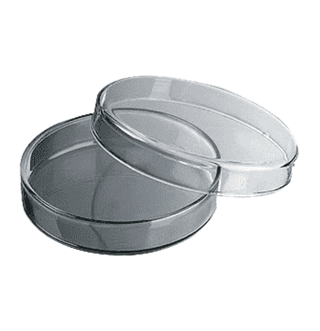 Petri dishes