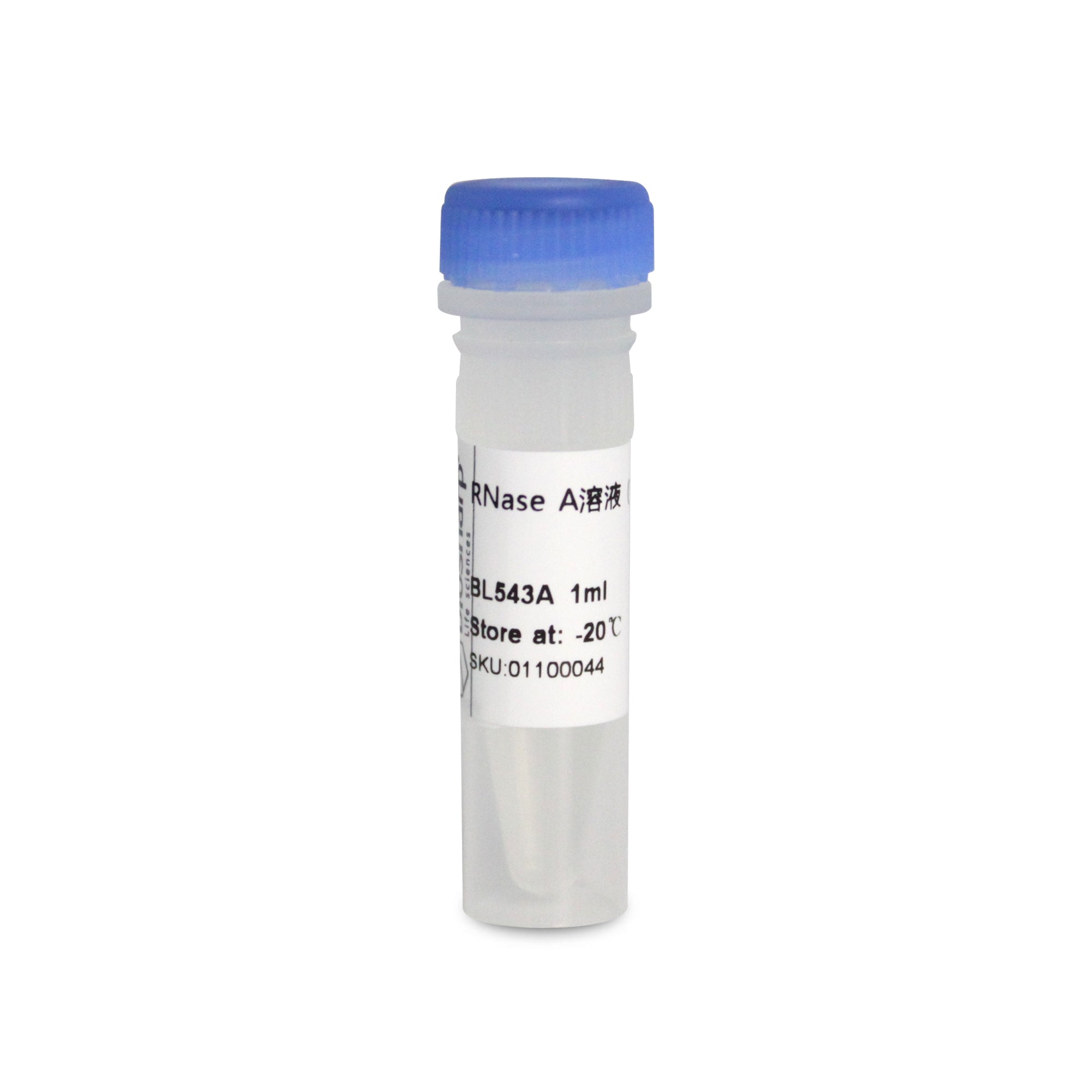 RNase A Solution(10mg/ml) 1ml