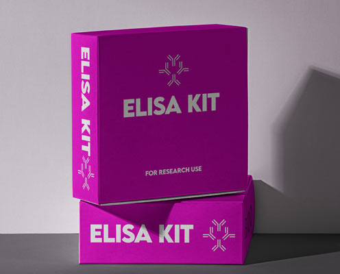 Soluble tumor necrosis factor receptor II (TNFsR-II) ELISA kit