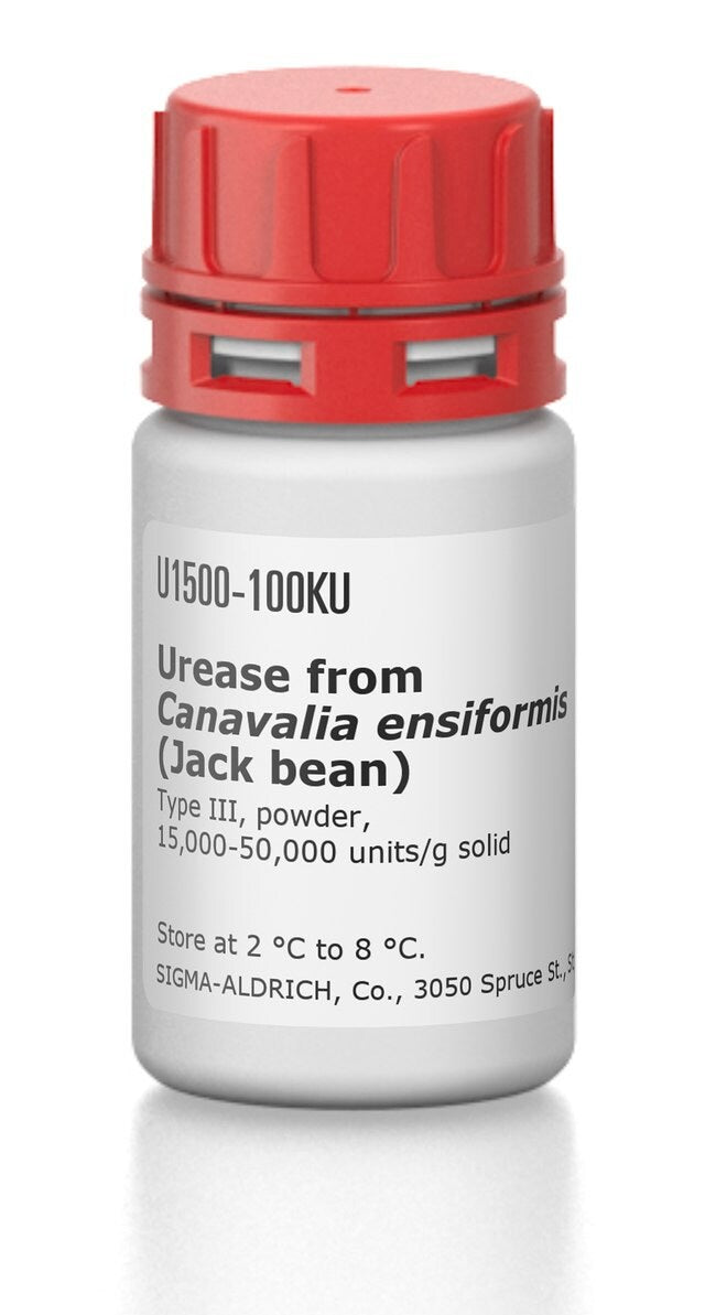Urease(Jack Bean) 1g